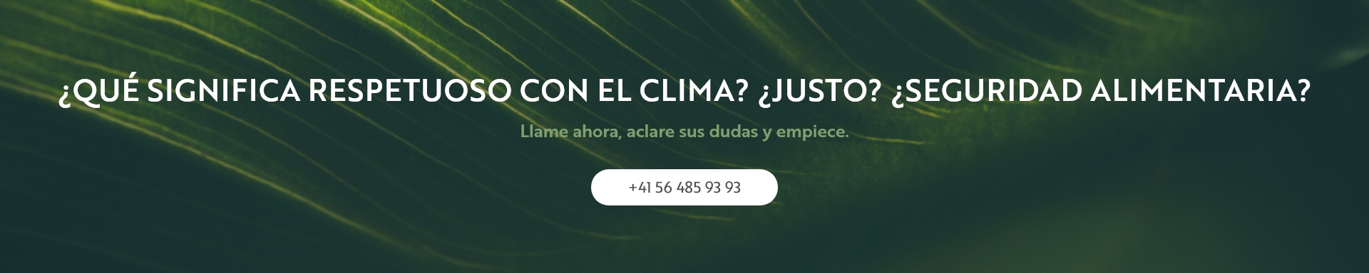 ¿Qué significa respetuoso con el clima? ¿Justo? ¿Seguridad alimentaria?