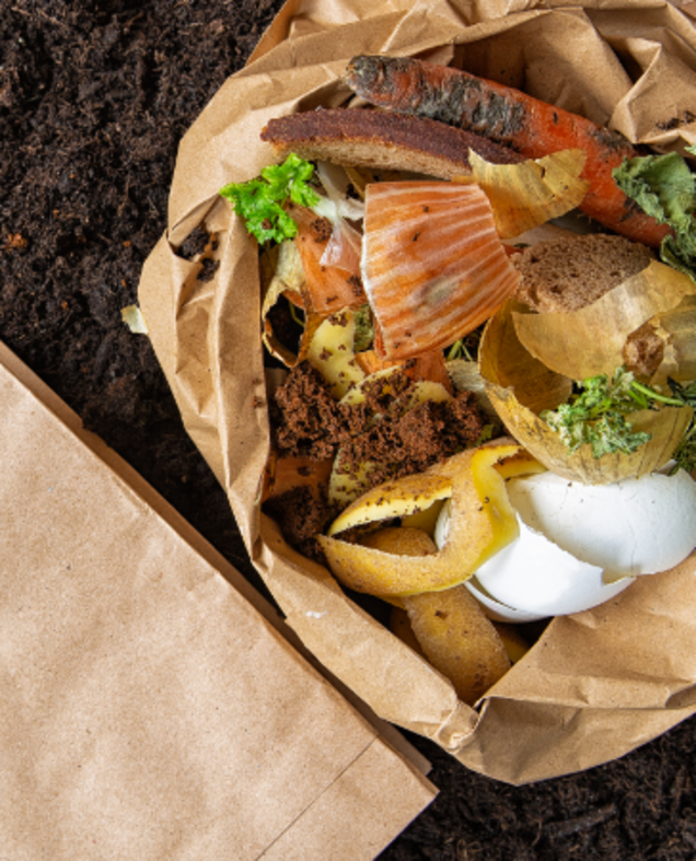 Disposal of organic waste Disposal of organic waste