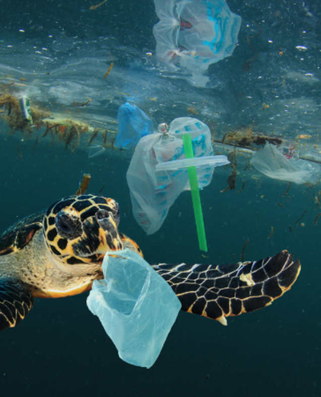 Plastic waste in the ocean with turtle Plastic waste in the ocean with turtle