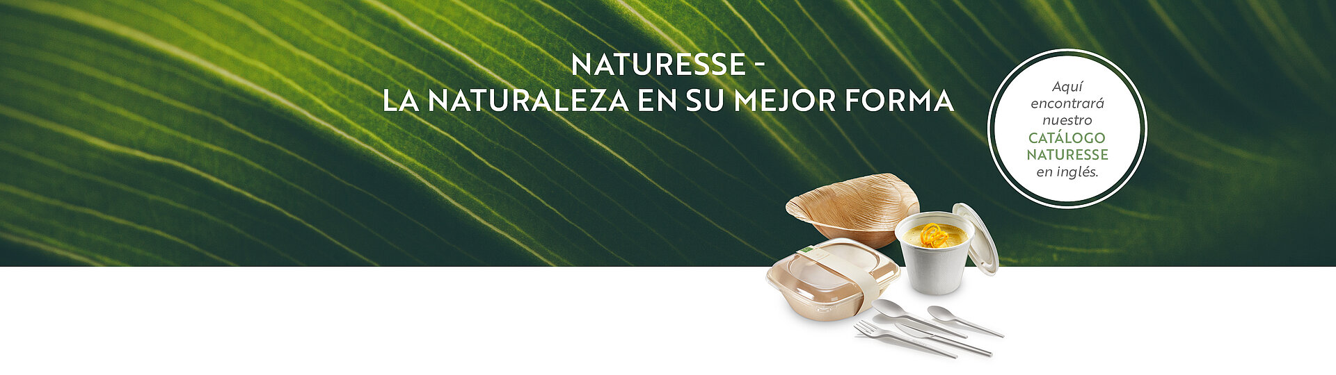 naturesse - la naturaleza en su mejor forma naturesse - la naturaleza en su mejor forma